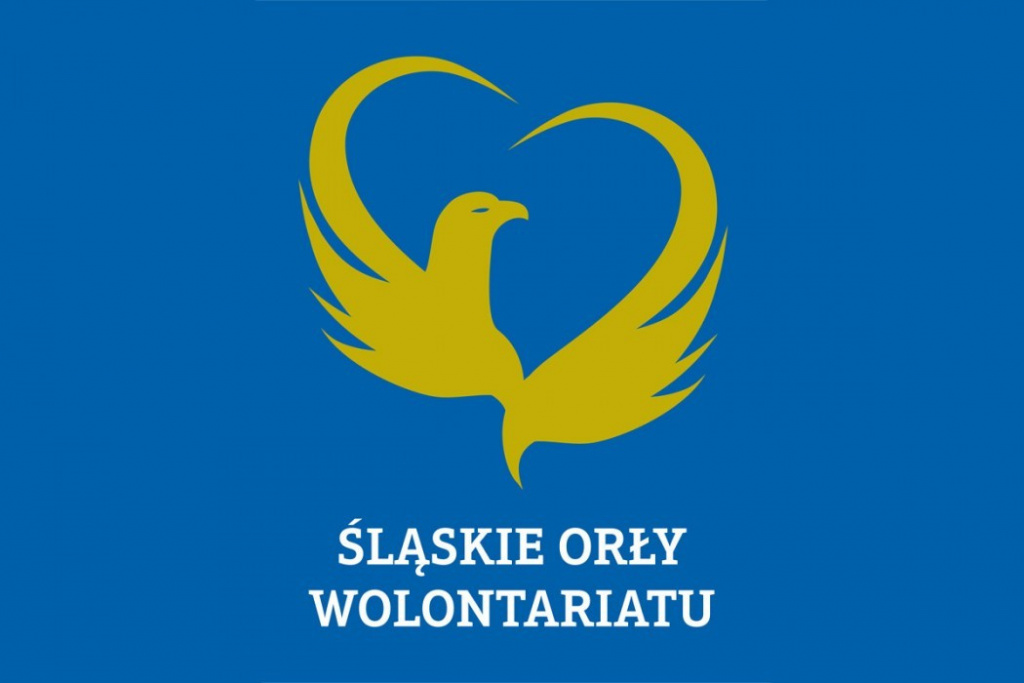 Śląskie Orły Wolontariatu-Wolontariusz 2021