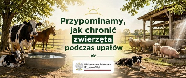 Upały a dobrostan zwierząt - jak chronić zwierzęta przed wysokimi temperaturami.