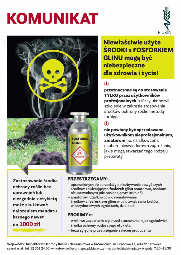 Fosforek glinku!