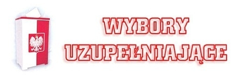 Wybory uzupełniające